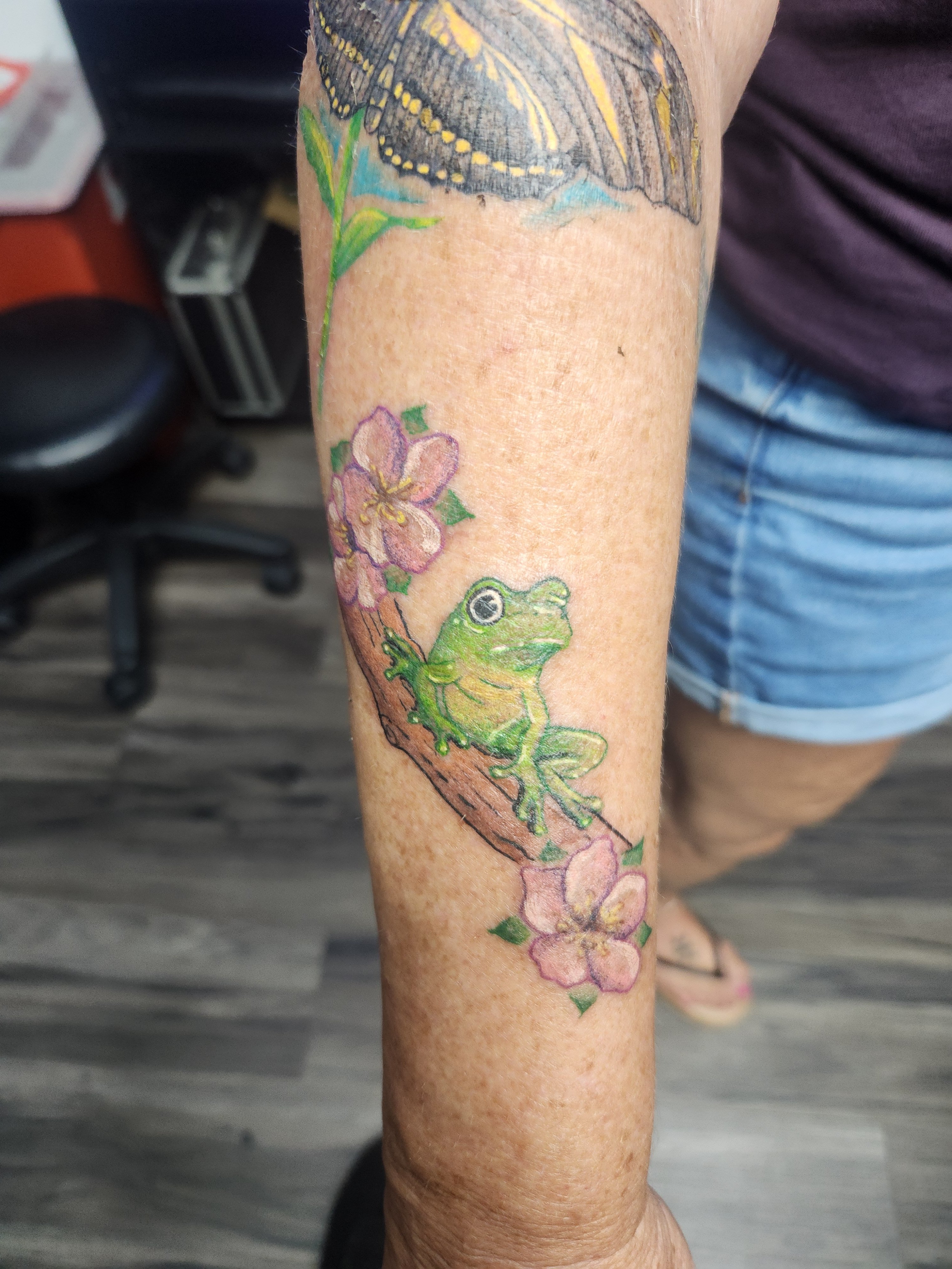 Frog done in full color