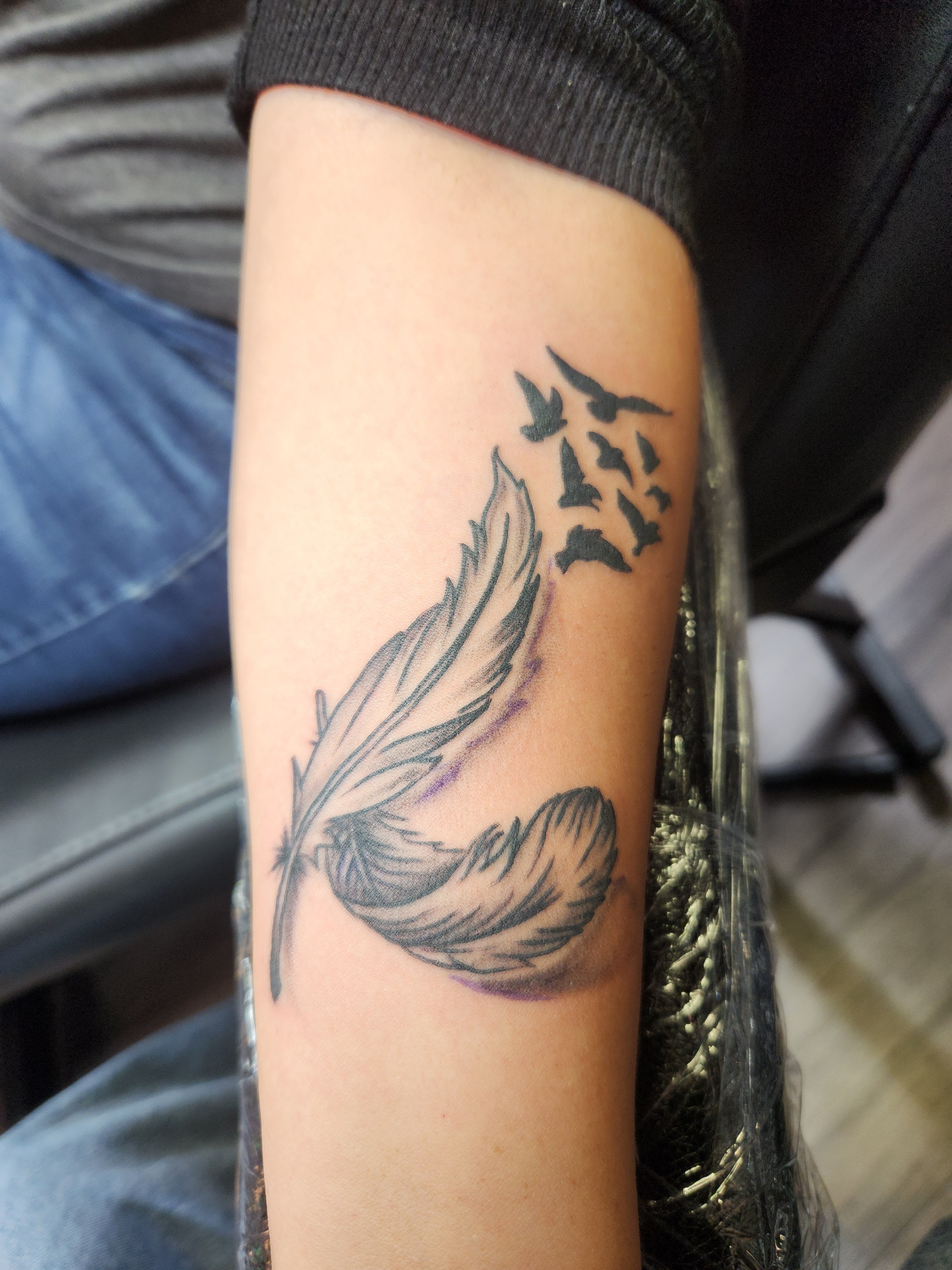 Feather and bird silhouettes