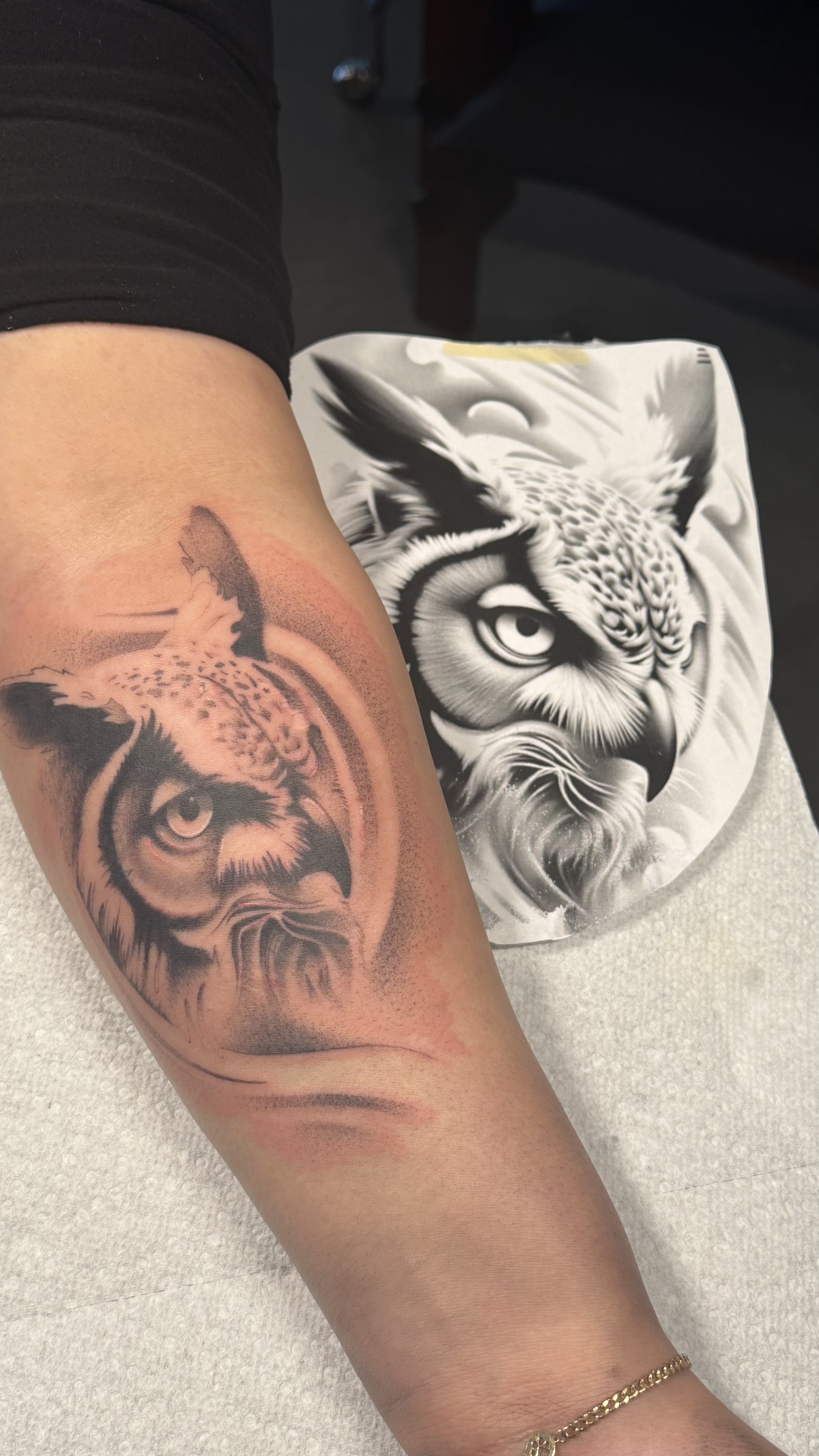 Realism/realism, black and gray owl with smoke
