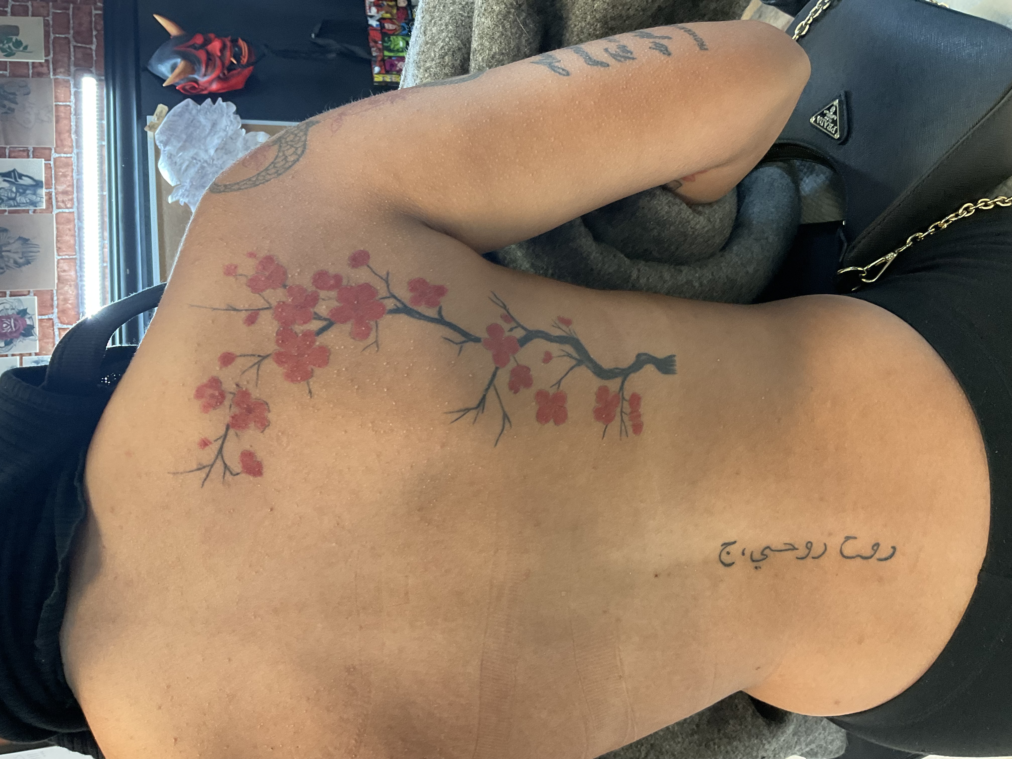 Fully healed Sakura branch