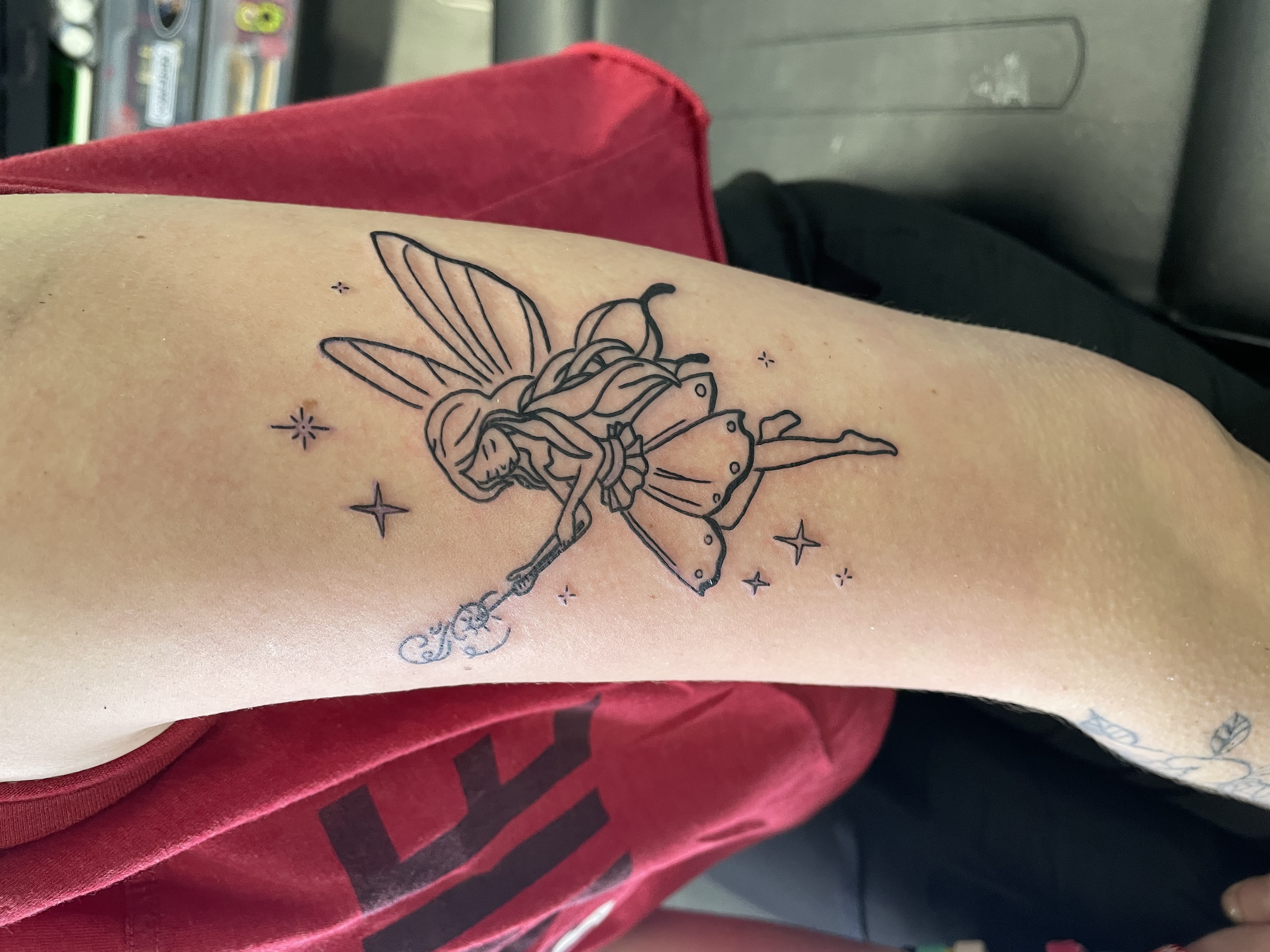 Fairy