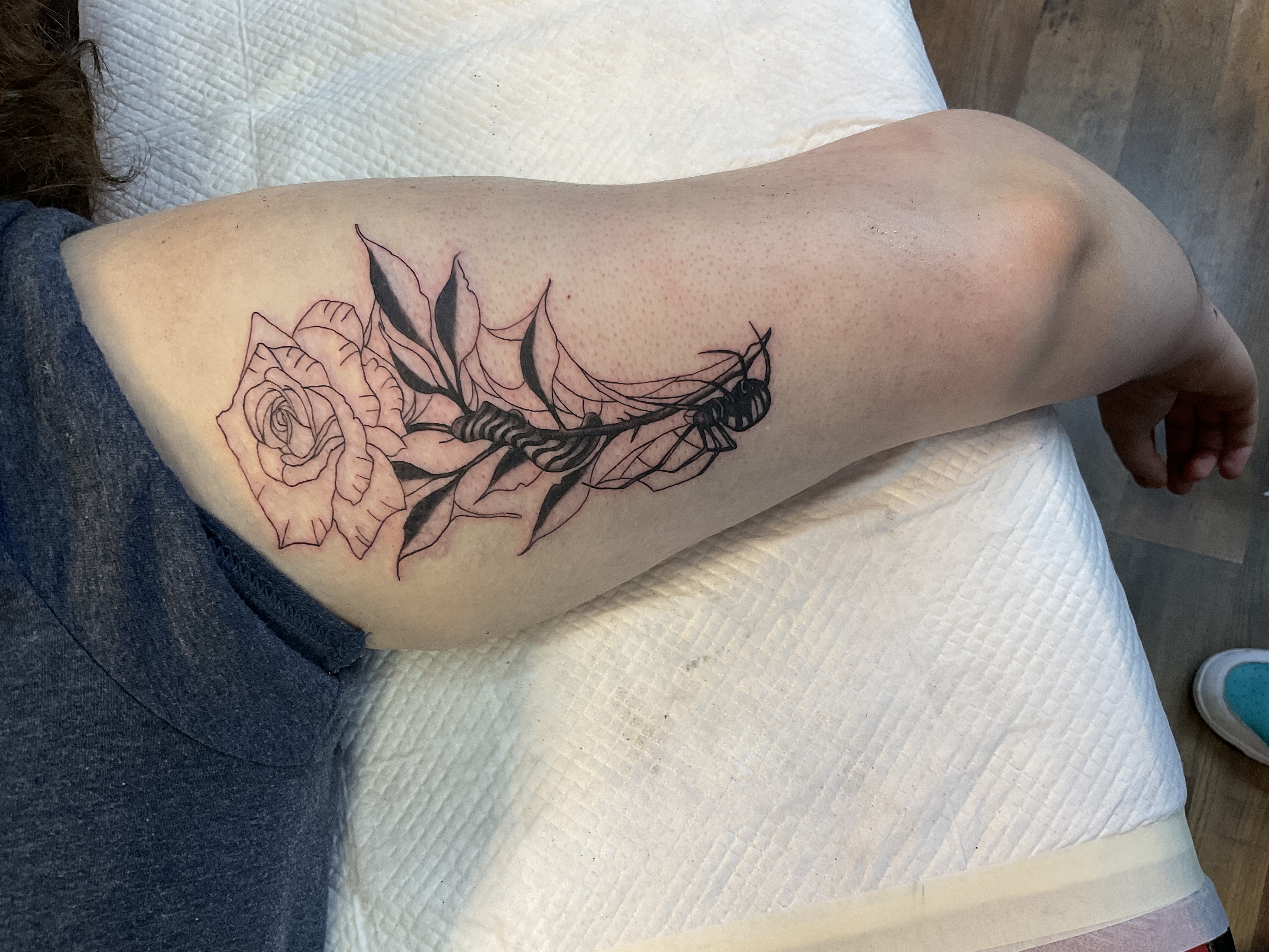 Flower and insects