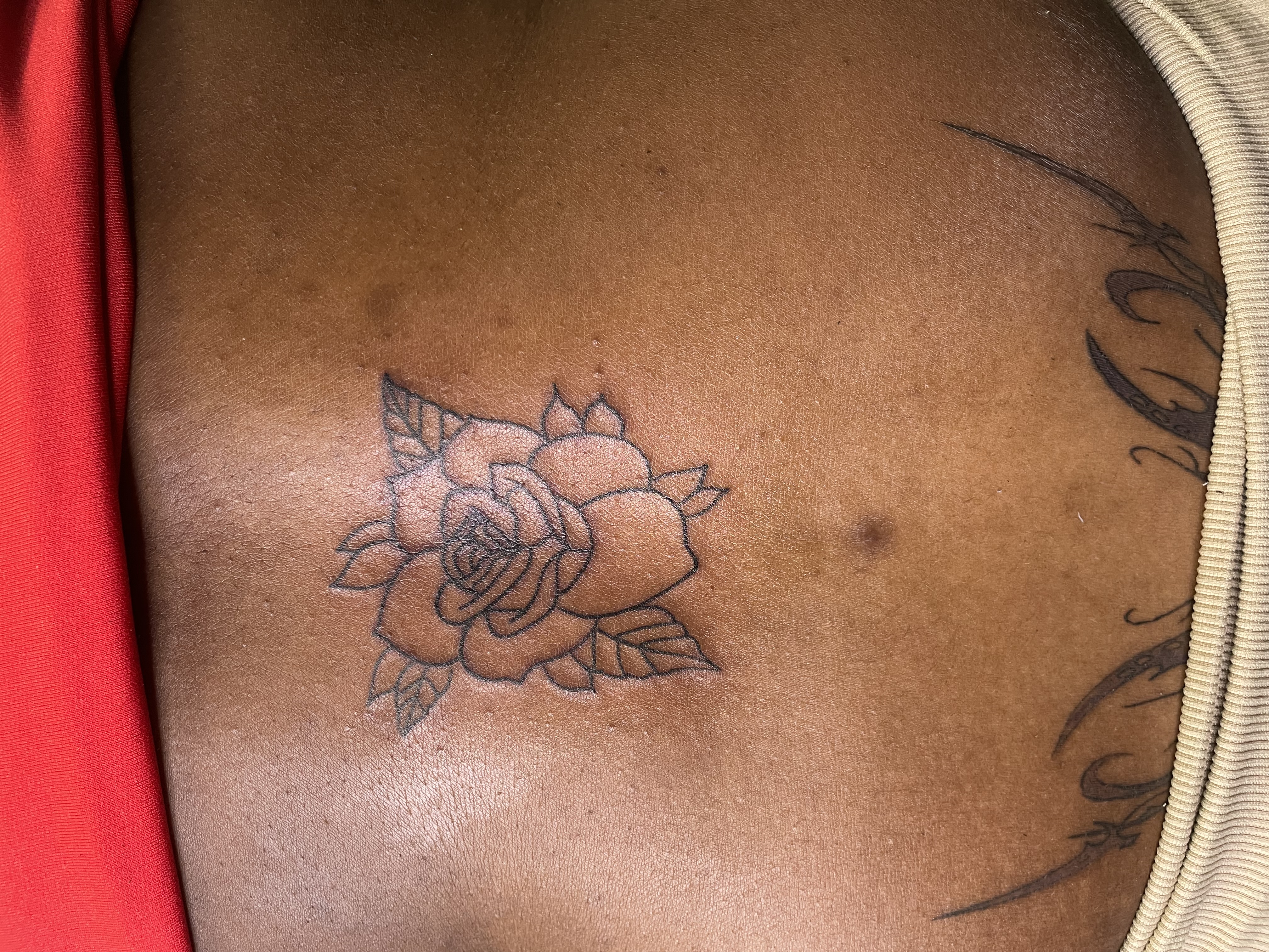 American Traditional Rose