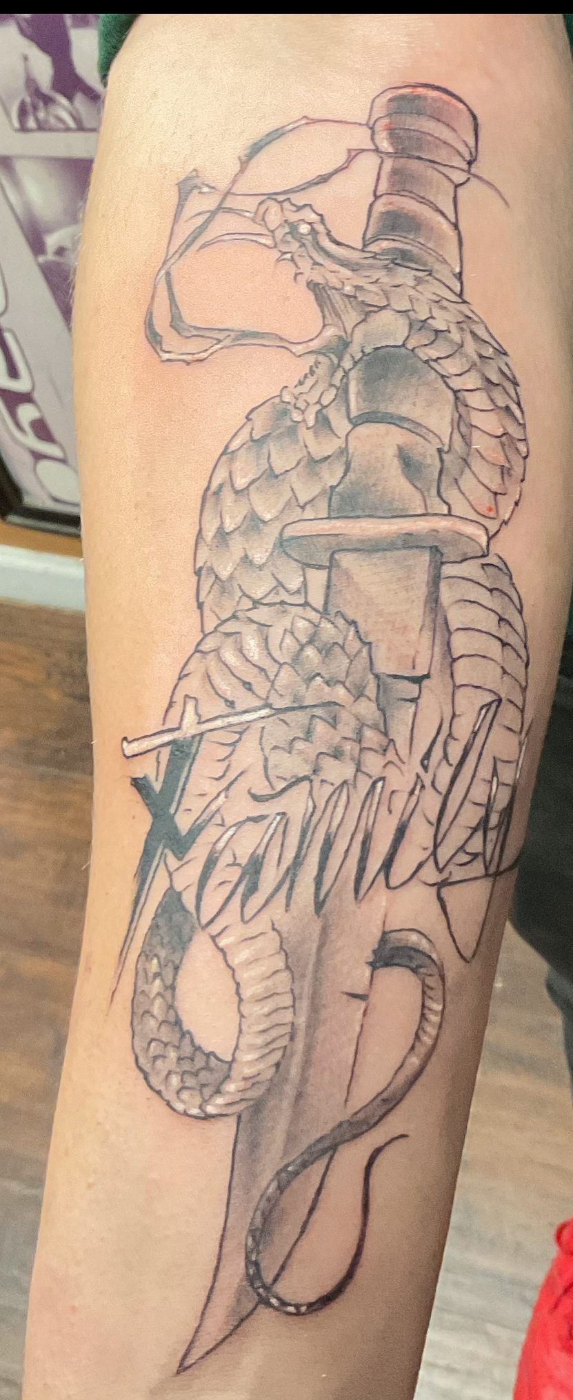 Black and gray snake with dagger