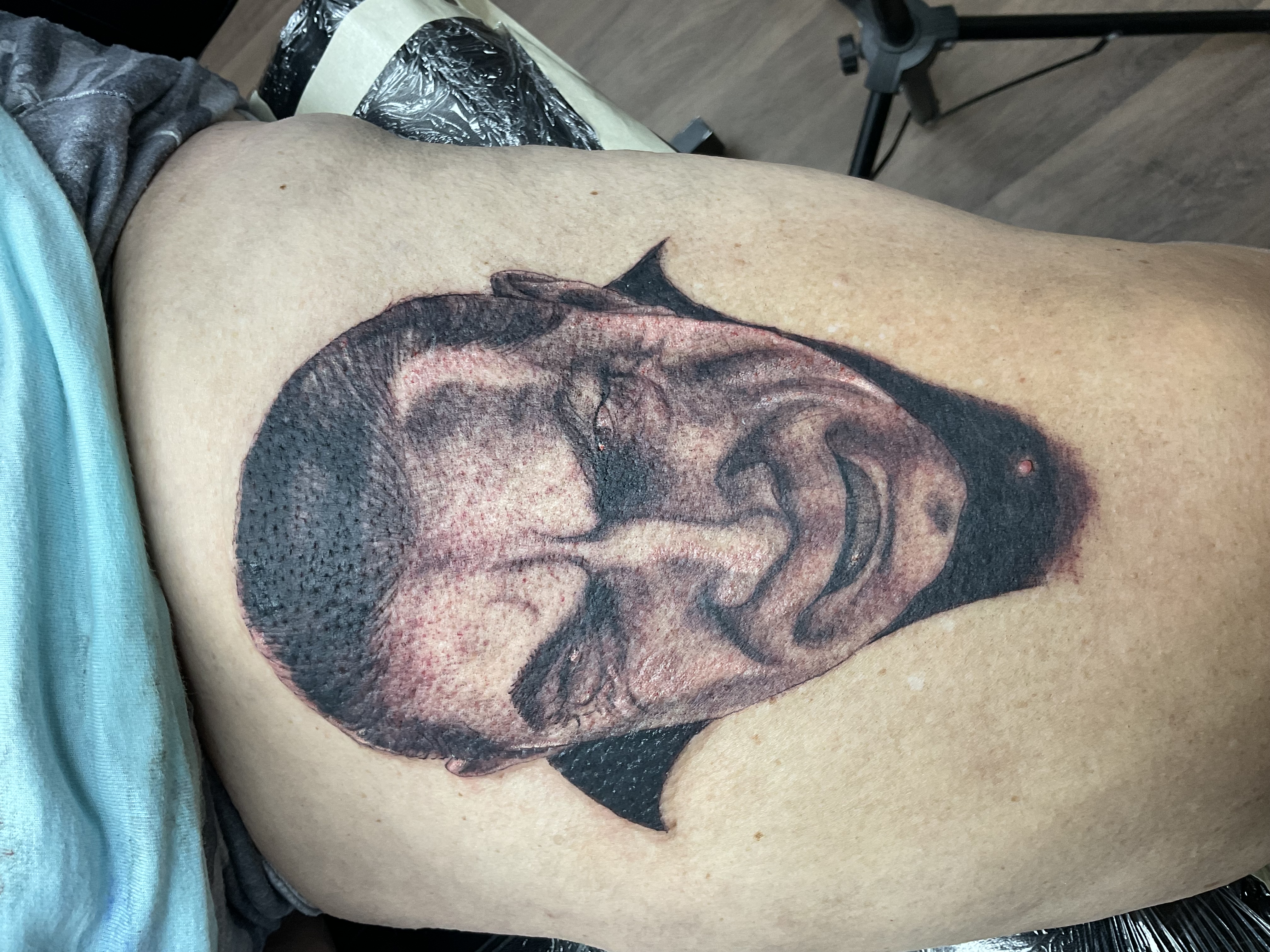 Dracula portrait