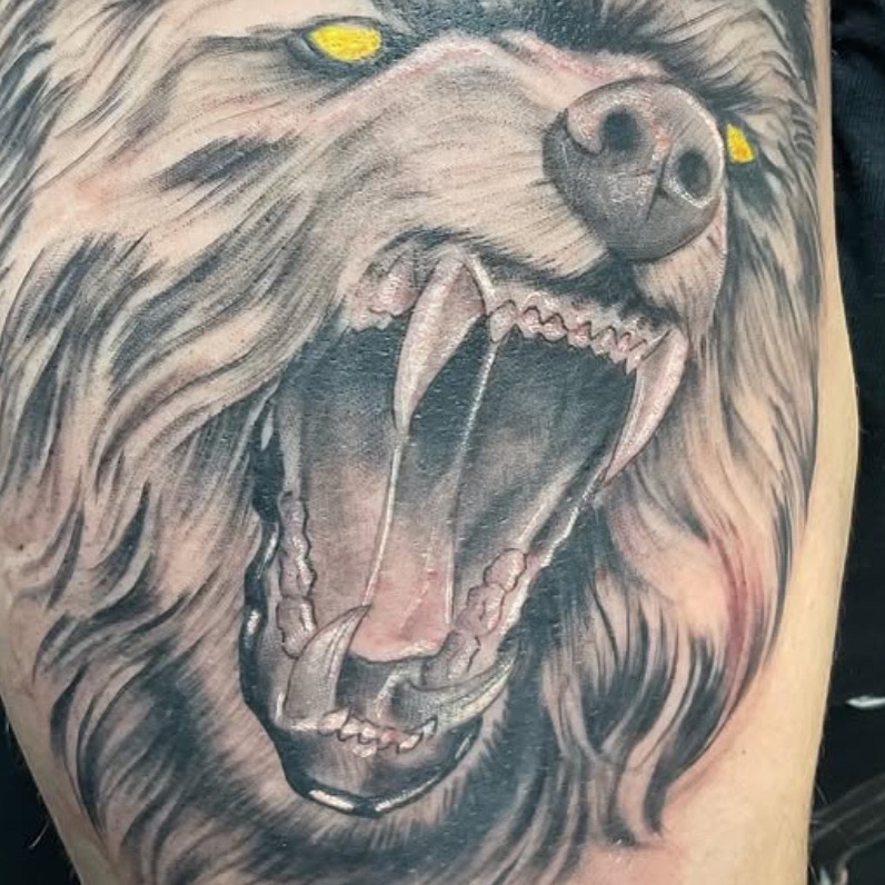 Realistic bear