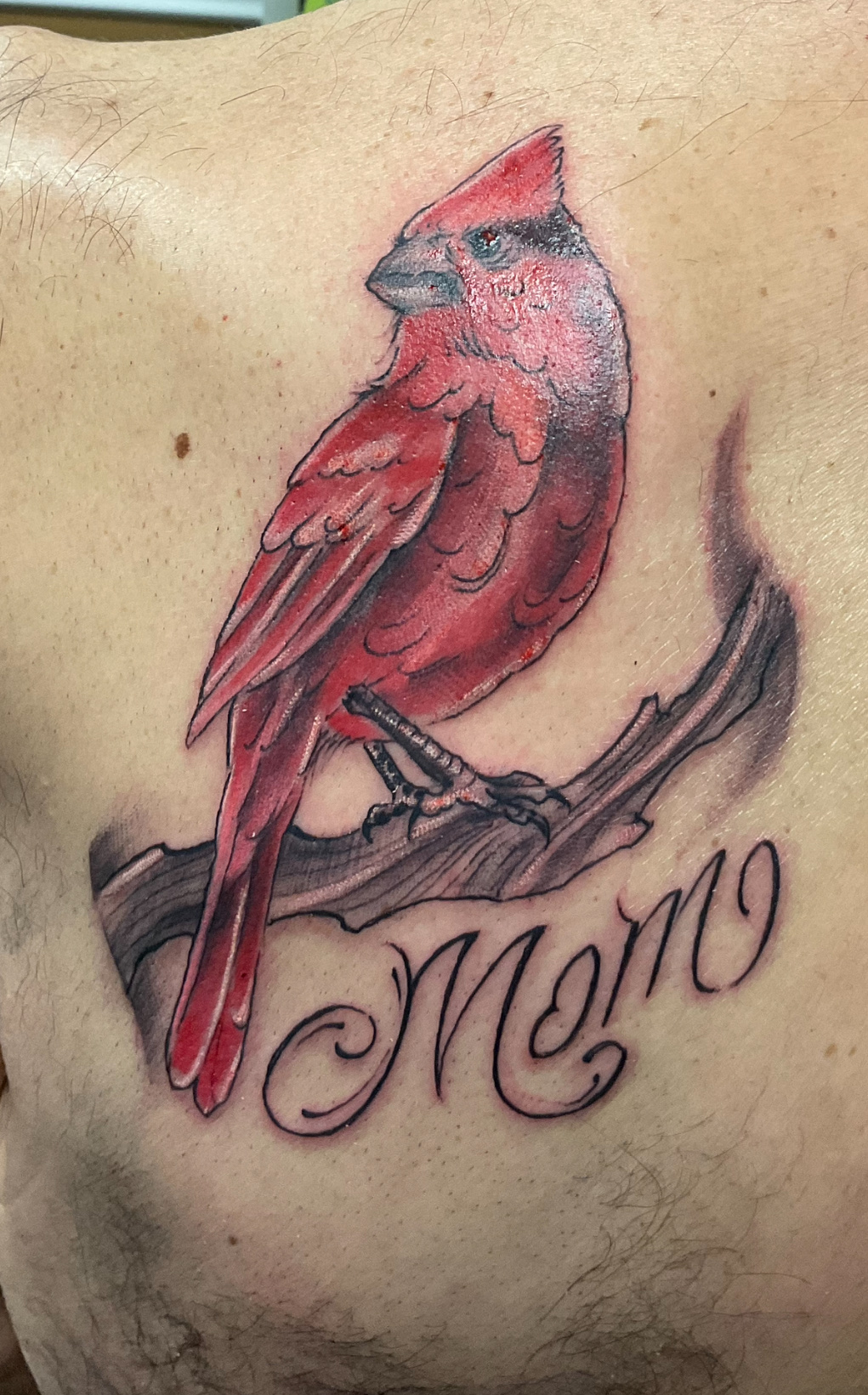 Red cardinal tattoo