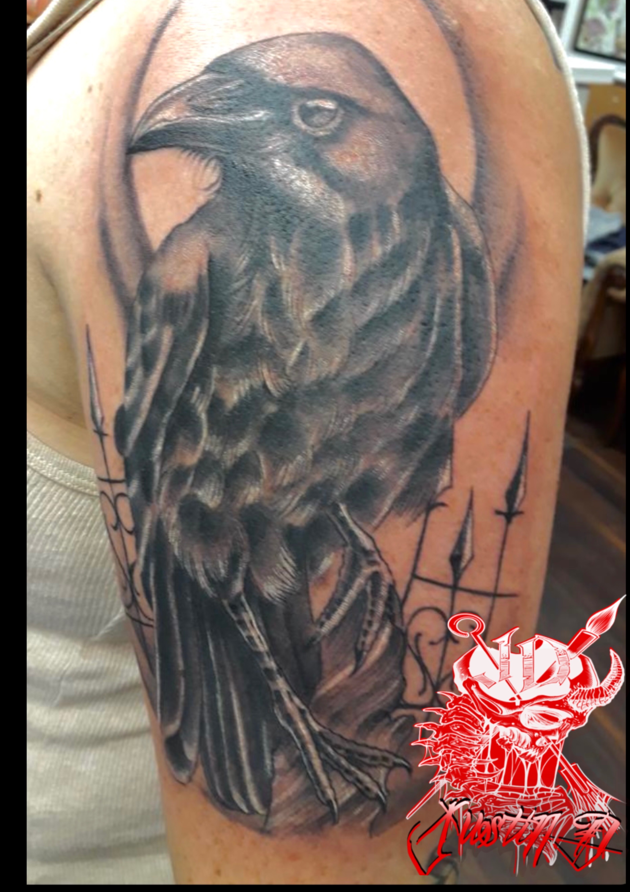 Black and gray raven