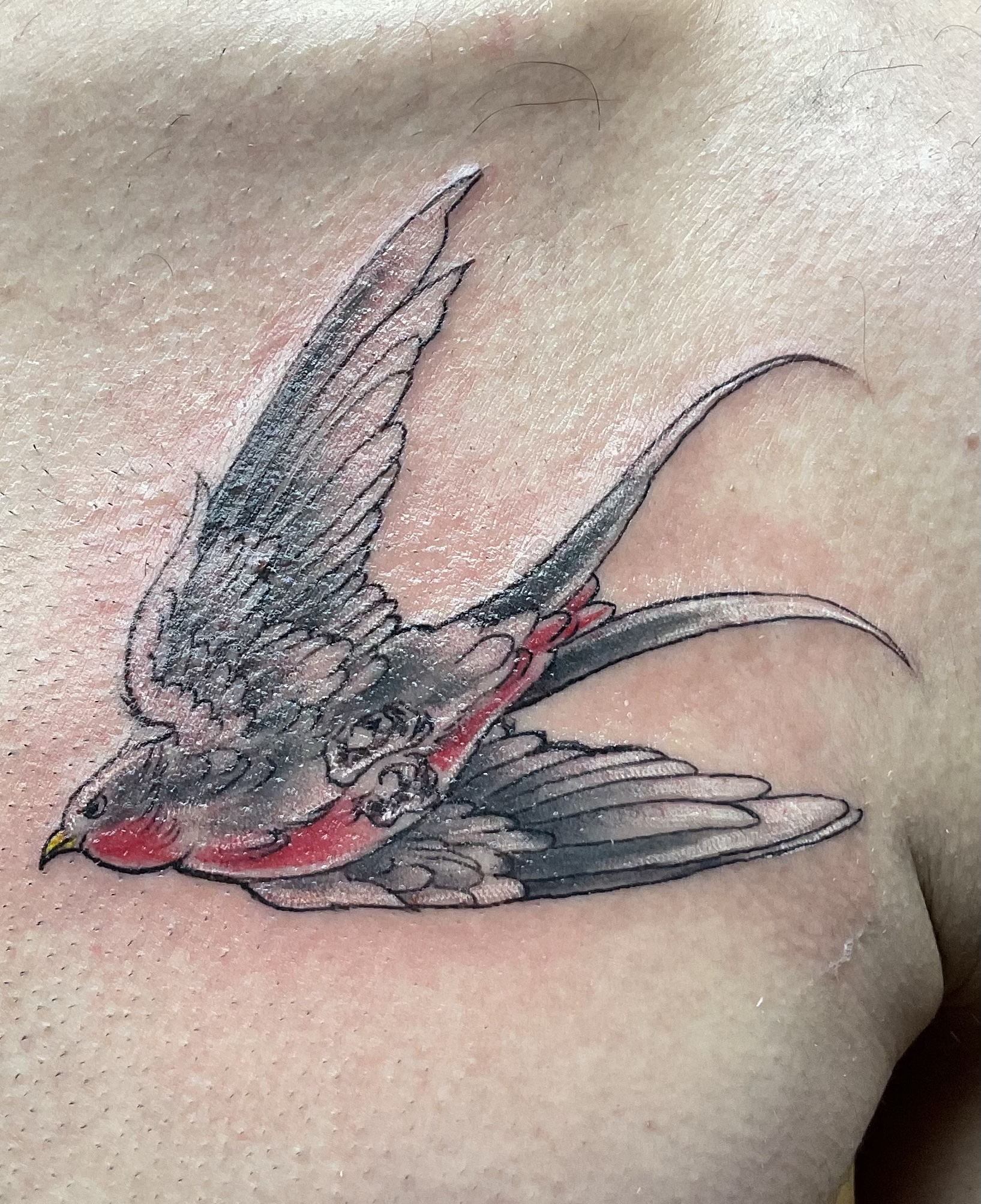 Chest tattoo of a dire with a little bit of color