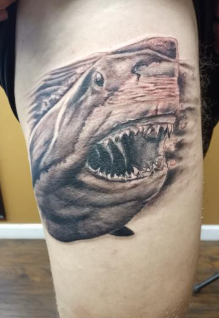 Black and gray great white shark