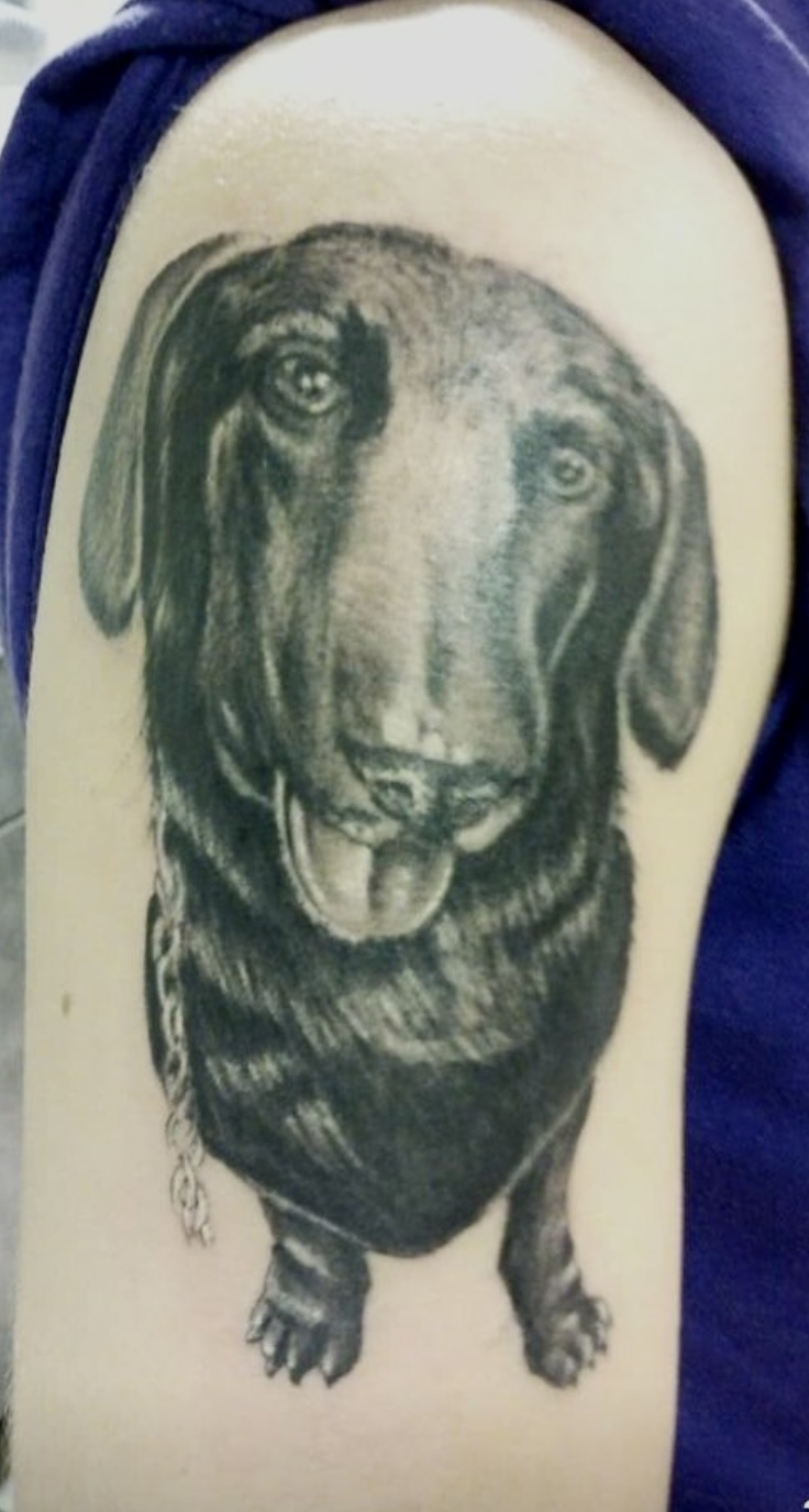 Black and gray dog portrait