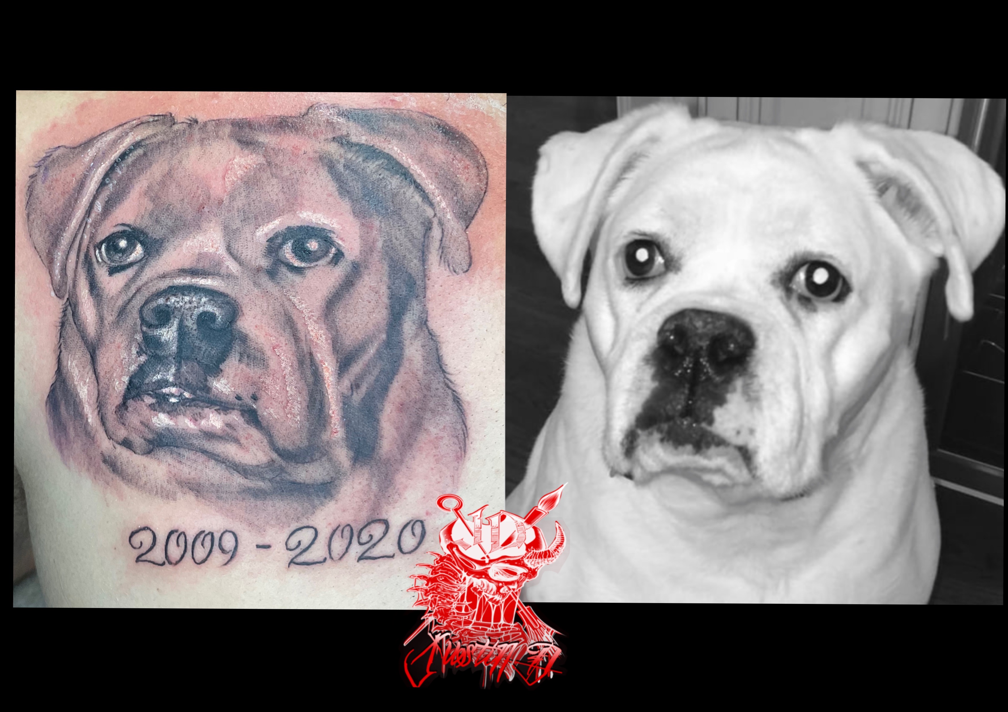 Black and gray dog portrait