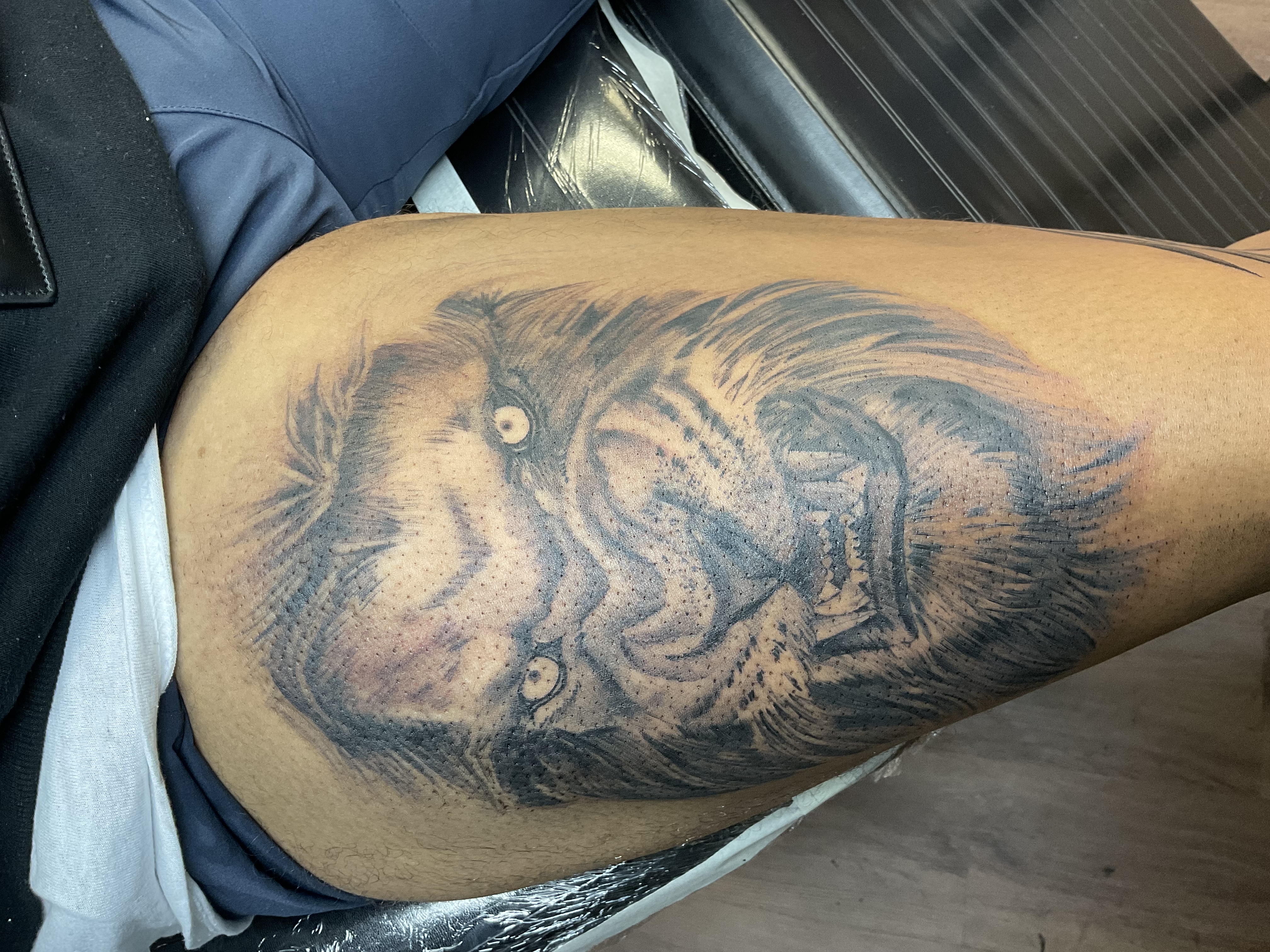 Black and gray lion head