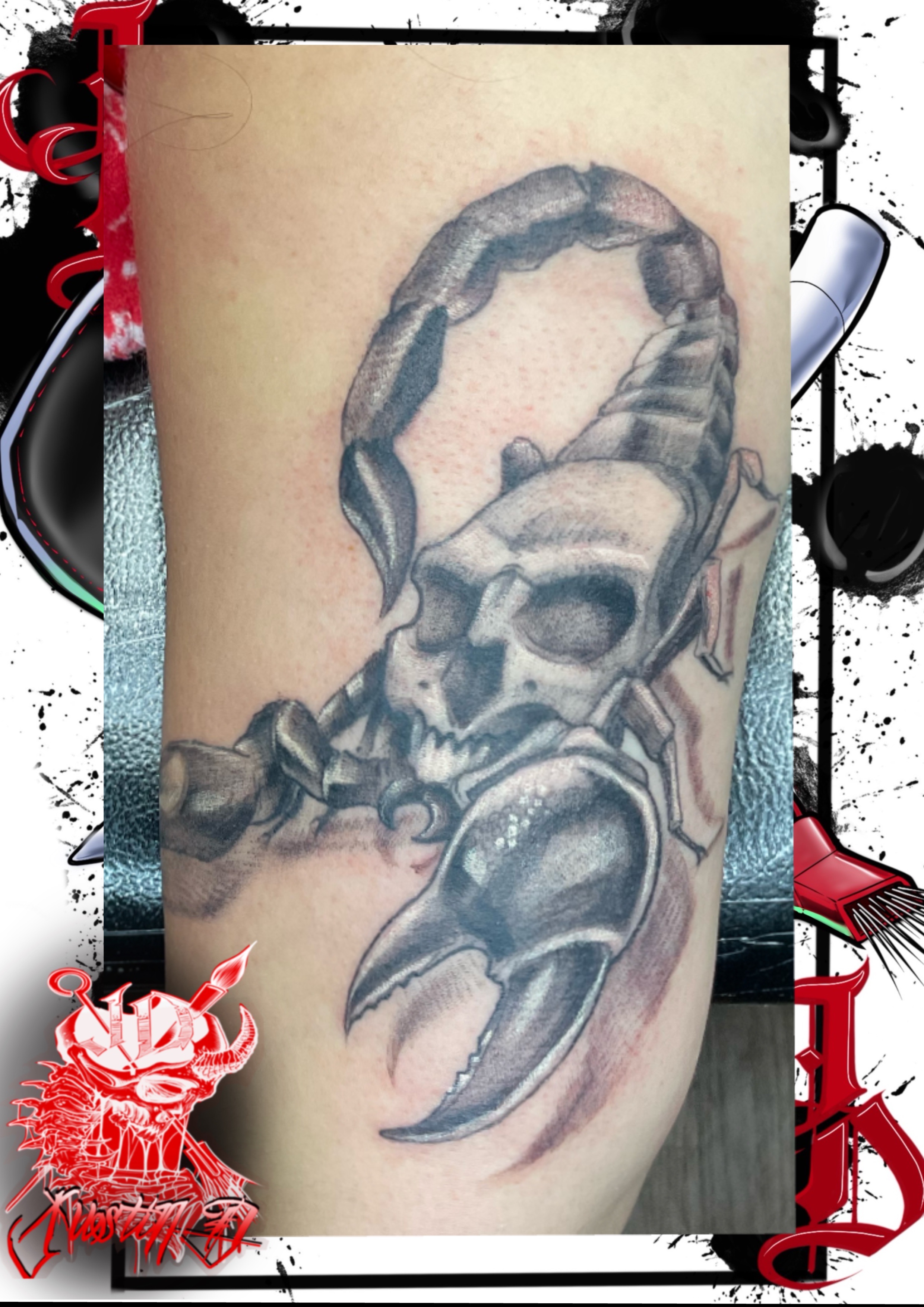 Black and gray scorpion